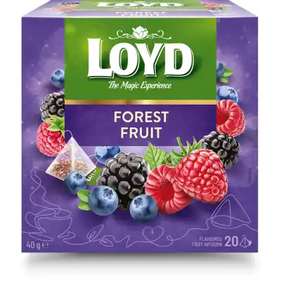Miško uogų vaisinė arbata LOYD, 20 pak.