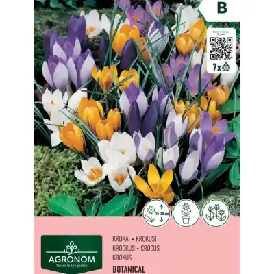 Krokai AGRONOM mišinys, AG26
