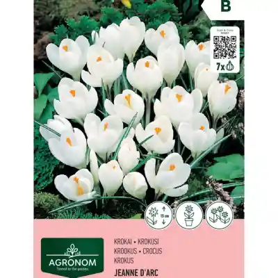 Krokai AGRONOM JEANNE DARC, AG26