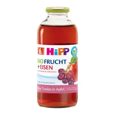 Ekol. sultys su vyn. HIPP BIO, 6 mėn, 500 ml