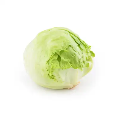 Salotos ICEBERG RIMI, 1 vnt.