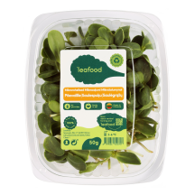 Saulėgrąžų daigai, 50 g