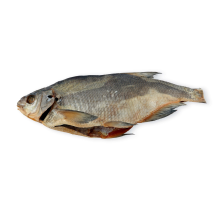 Plaudis ar galvu izķidāts, žāvēts kg