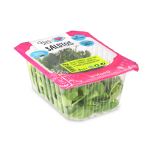 Salotų mišinys VALGYK IR ŽYDĖK, 70 g