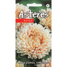 Asteres Lady Coral Chamois