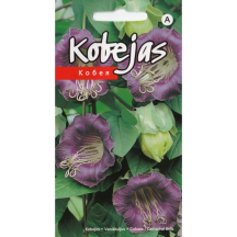 Kobejas violetas
