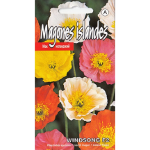 Magones Islandes Windsong F2