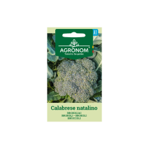 Sėklos AGRONOM Brokoliai Calabrese Natalino