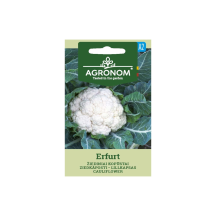 Sėklos AGRONOM Kopūstai žiediniai Erfurt