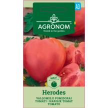 Sēklas AGRONOM Tomāti Herodes