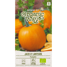 Ķirbji Jack O' Lantern
