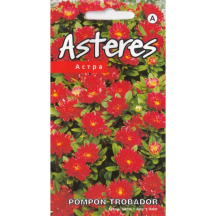 Asteres Trobador red