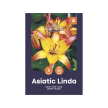 Lelijos AGRONOM LINDA, SG25