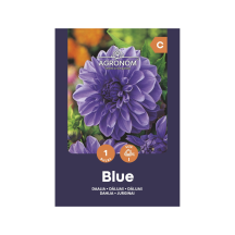 Gėlių sėklos AGRONOM DAHLIA BLUE