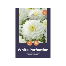 Gėlių sėklos AGRONOM DAHLIA WHITE PERF.