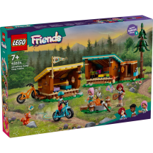 Konstr. Lego Mājīgās Būdiņas 42624