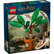 Konstr. Lego Mandragors 76433