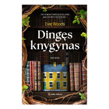 Knyga DINGĘS KNYGYNAS