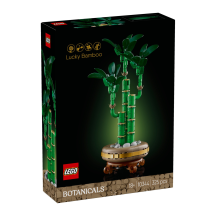 Konstruktorius LEGO BAMBUKAS 10344