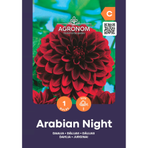 Jurginai AGRONOM ARABIAN NIGHT, SG25