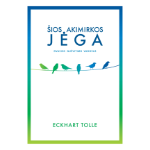 Knyga ŠIOS AKIMIRKOS JĖGA