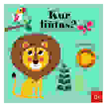Knyga KUR LIŪTAS?