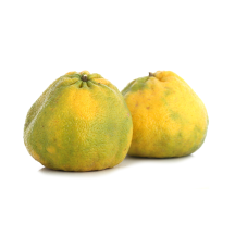 Greipfrutai Ugli, 1kg