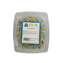 Kapsa-kurgisalat Astri köök 250g
