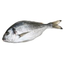Atšaldytos auksaspalvės dorados, neskrostos, su galvomis RIMI, 1 kg