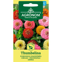 Sėklos AGRONOM Gvaizdūnės puikiosios Thumbelina