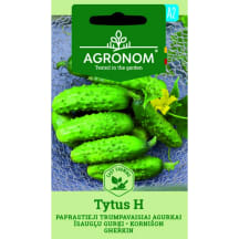 Trumpavaisiai agurkai AGRONOM TYTUS H