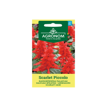Sėklos AGRONOM Šalavijai Scarlet Piccolo