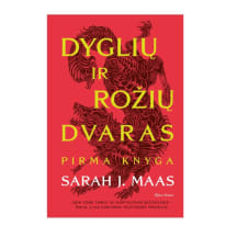 Knyga Sarah J. Maas DYGLIŲ IR ROŽIŲ DVARAS. PIRMA KNYGA, 14-18 m.