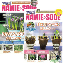 Žurnalas SAVAITĖ NAMIE IR SODE
