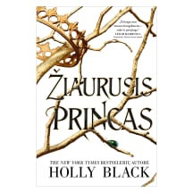 Knyga Holly Black ŽIAURUSIS PRINCAS. SERIJOS ŽIAURUSIS PRINCAS PIRMA KNYGA, nuo 10 iki 18 metų