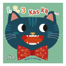 Knyga 1,2,3 KAS KĄ...PRARIS! VERSK IR SUŽINOK