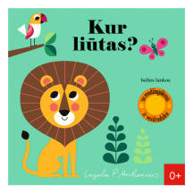Knyga KUR LIŪTAS?