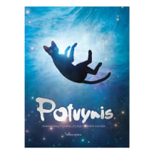 Knyga POTVYNIS