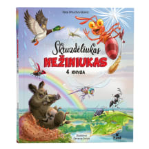 Knyga Rasa Dmuchovskienė SKRUZDĖLIUKAS NEŽINIUKAS 4 KNYGA