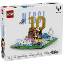 Konstruktorius LEGO X/500 43011