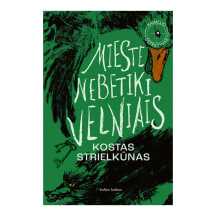 Knyga Kostas Strielkūnas MIESTE NEBETIKI VELNIAIS
