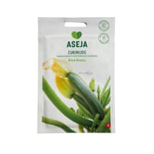 Cukinijų sėklos ASEJA BLACK BEAUTY, 1 g, 20-0023 (A)