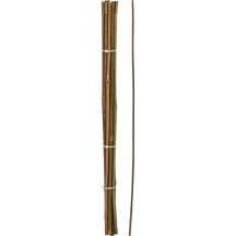 Augalų pagaliukai, 60 cm, 10 vnt., SG26