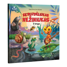 Knyga Rasa Dmuchovskienė SKRUZDĖLIUKAS NEŽINIUKAS 2 DALIS