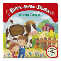 Knyga PALIESK, PAJUSK, IŠGIRSK. DIENA ŪKYJE