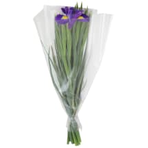 Irisų puokštė 50cm, 11 vnt