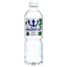 Gazuot. mineralinis vanduo NEPTŪNAS MINT, 0.5 l