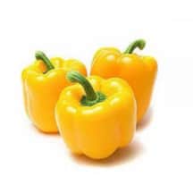 Geltonos saldžiosios paprikos (80+mm),1kl, 1 kg