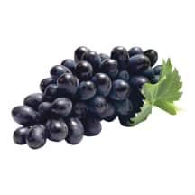 Mėlyn. vynuogės MOLDOVA, 1kl., 1 kg