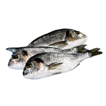 Auksaspalvės dorados, 1 kg